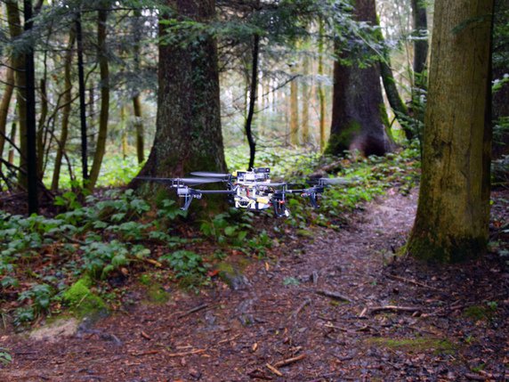 Les drones reconnaissent les sentiers de forêts et peuvent les suivre. © UZH; USI; SUPSI