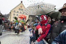 Le Carnaval des Bolzes 2016