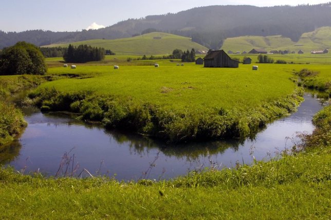 Les tourbières, ici à Rothenthurm (SZ), sont des puits de carbone, qui est relâché lorsqu'elles s'assèchent (archives). © KEYSTONE/SIGI TISCHLER