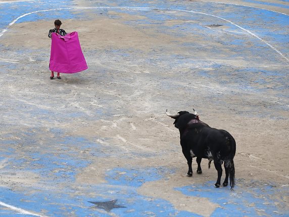 Selon la cour constitutionnelle, "la tauromachie fait partie du patrimoine culturel" de l'Espagne, compétence de l'Etat espagnol (archives). © KEYSTONE/EPA/GUILLAUME HORCAJUELO