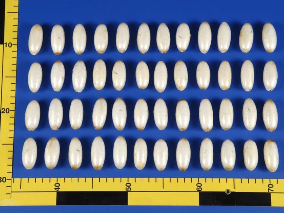 Le trafiquant avait avalé une septantaine d'ovules de ce genre (Photo prétexte). © KEYSTONE/SCHAFFHAUSER POLIZEI