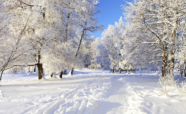 L’hiver, ce moment magique où la nature convole avec le ciel et nous colle des ailes dans le dos…  © DR