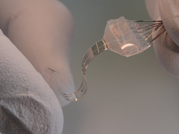 L'implant flexible e-Dura est conçu pour être implanté à la surface du cerveau ou de la moelle épinière. © EPFL