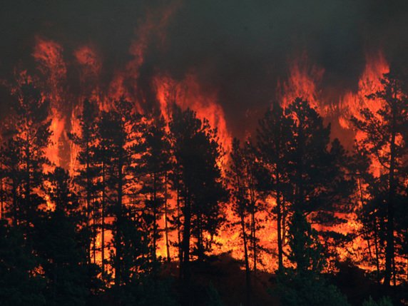 Le feu a été déclenché mercredi par la foudre. © KEYSTONE/AP The Billings Gazette/MEG OLIPHANT