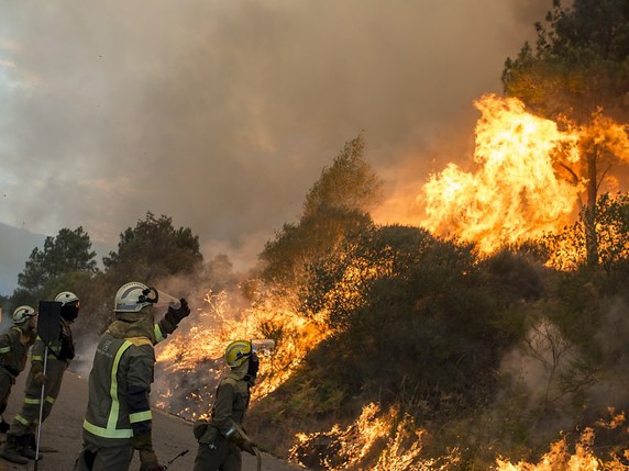 Les pompiers sont à l'oeuvre notamment dans la province espagnole d'Ourense (nord-ouest) © KEYSTONE/EPA EFE/BRAIS LORENZO