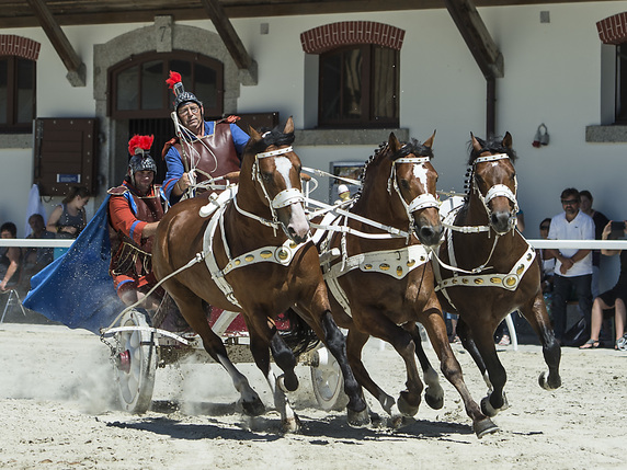 Le festival du cheval à Avenches permet de découvrir toutes sortes de spectacles, y compris des courses de chars romains (archives). © KEYSTONE/JEAN-CHRISTOPHE BOTT