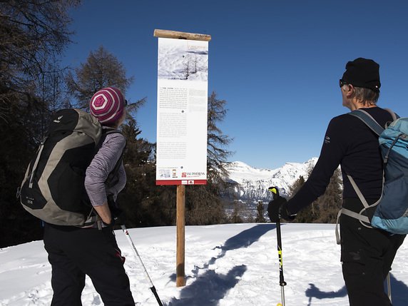 Des personnes pratiquant le ski de randonnée observent un panneau du Maya Nivo Trail. © KEYSTONE/SANDRA HILDEBRANDT