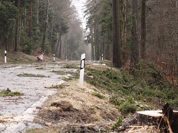 Après le passage de Ciara, la route entre Rochefort et Corcelles (NE) a été fermée à cause de chutes d'arbres.