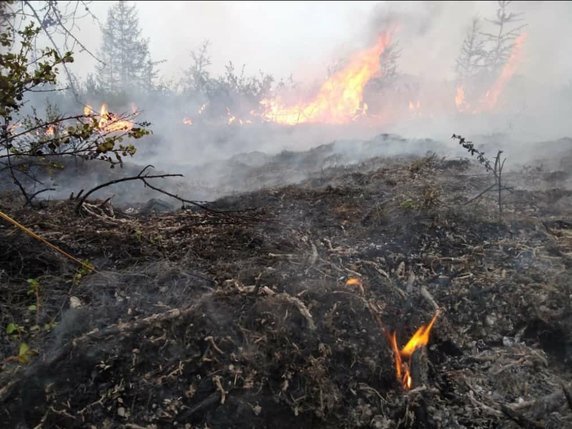 Les incendies dans les forêts de Sibérie se poursuivent, mais ils ont un peu diminué (archives). © KEYSTONE/EPA/EMERCOM OF RUSSIA PRESS SERVICE / HANDOUT
