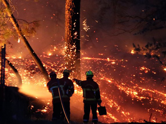 Au moins 50 hectares de pinède dans la forêt de Chiberta ont été ravagés par les flammes. © KEYSTONE/AP/Bob Edme