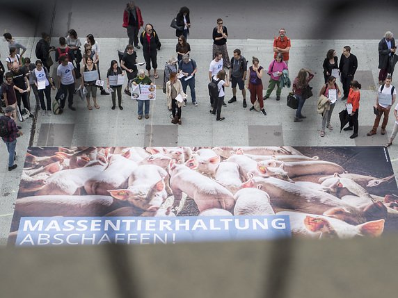 Une action de l'organisation "Sentience Politics" en faveur des droits des animaux le 12 juin 2018 à Berne (archives). © KEYSTONE/PETER SCHNEIDER