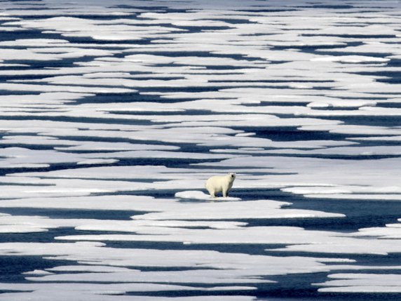 En septembre déjà, la taille de la banquise arctique avait enregistré un très bas niveau avec sa deuxième superficie la plus petite jamais enregistrée (archives). © KEYSTONE/AP/David Goldman