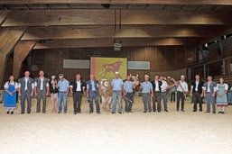 Taureaux: bonne cuvée pour le Marché-concours de Bulle