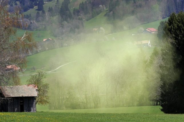 Le rhume des foins explose en Suisse à cause du réchauffement