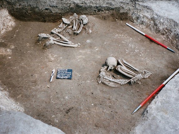 Les chercheurs se sont notamment basés sur des analyses d'ADN provenant de squelettes vieux de 8500 ans trouvés à Revenia, dans le nord de la Grèce. © Fotini Adaktylou / Ephorate of Antiquities of Pieria