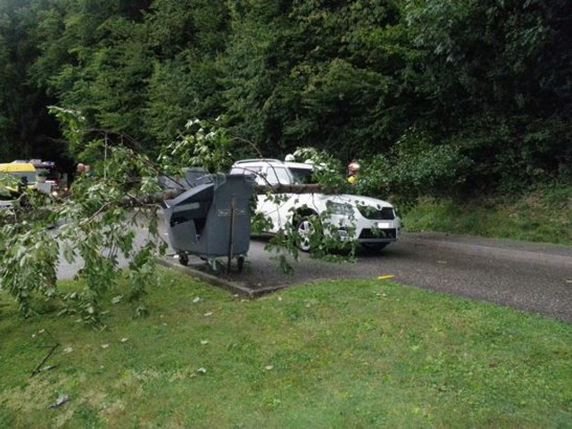 Plus de peur que de mal pour cette automobiliste qui passait sur une route d'Attalens (FR) au moment même où l'arbre tombait sous l'effet des forts vents. Sa chute a en outre été amortie par le conteneur en face. © Police FR