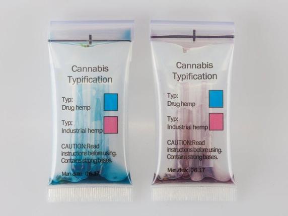 Le test vire au bleu s'il s'agit de cannabis illégal contenant plus de 1% de THC. Il devient rouge avec du chanvre CBD. © Institut de forensique Zurich