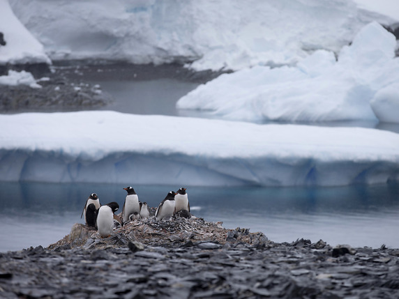 La hausse du niveau des océans s'accélère principalement en raison de la fonte du Groenland et de l'Antarctique (image symbolique). © KEYSTONE/AP/NATACHA PISARENKO