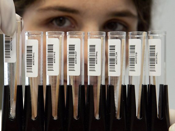 Les analyses ADN de quelque 21'500 hommes aux Pays-Bas devraient prendre entre six et douze mois (photo prétexte). © KEYSTONE/EPA/FRANK MAY
