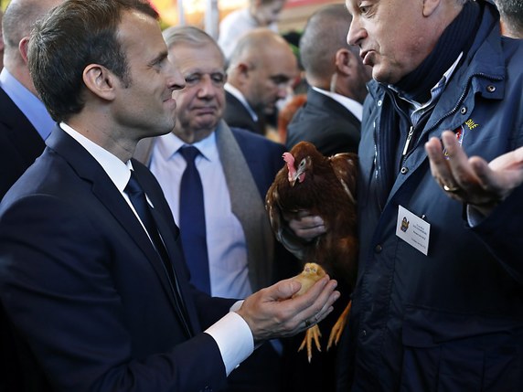 Au cours de sa première visite du salon de l'agriculture à Paris en tant que chef de l'Etat, Emmanuel Macron a "adopté" une poule rousse. © KEYSTONE/EPA AP POOL/THIBAULT CAMUS / POOL