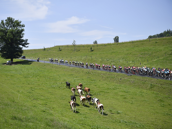 Le Tour de Suisse en carte postale. © KEYSTONE/GIAN EHRENZELLER