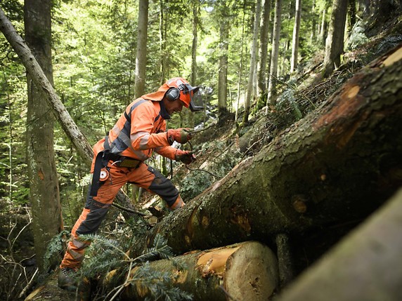 La victime effectuait des travaux forestiers quand elle a fait une chute de plusieurs dizaines de mètres, pour une raison encore indéterminée (archives). © KEYSTONE/GIAN EHRENZELLER
