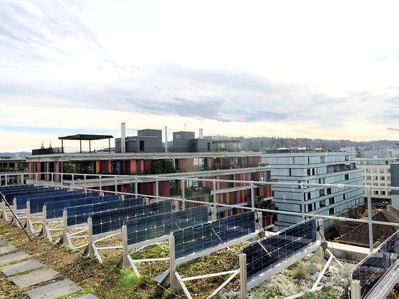 Les panneaux solaires à double face sont placés verticalement et orientés est-ouest. © ZHAW