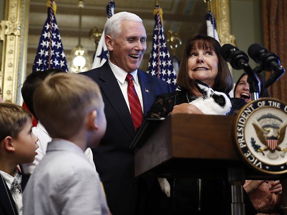 Marlon Bundo, le lapin de Mike Pence, a son propre compte Instagram (archives). © KEYSTONE/AP/CAROLYN KASTER