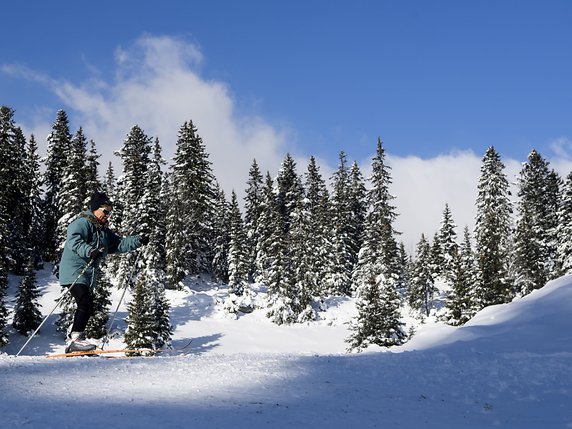 Pas de ski de fond à la Vallée de Joux dans le cadre des JOJ 2020: des associations annoncent qu'elles s'opposeront aux travaux au Chenit (archives). © KEYSTONE/JEAN-CHRISTOPHE BOTT