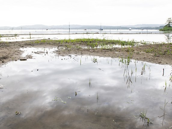 Les travaux de renaturation de l'embouchure de la Broye ont permis de transformer le secteur en un delta naturel de plus de 11 hectares. © KEYSTONE/PATRICK HUERLIMANN