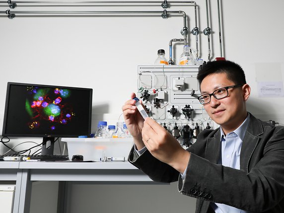 Le Professeur Li Tang, directeur du Laboratoire de biomatériaux pour immunoengineering à l’EPFL. © Keystone/ALAIN HERZOG/EPFL