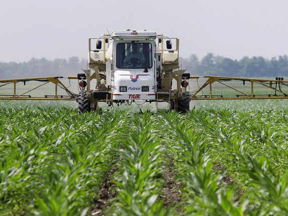Les impacts sanitaires et environnementaux du glyphosate, largement utilisé dans l'agriculture, font débat depuis plusieurs années (photo prétexte). © KEYSTONE/AP/SETH PERLMAN