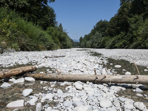 Une succession d'étés chauds et secs - ici l'Emme à Aefligen (BE) fin juillet - pourrait accélérer les changements déjà en cours dans la répartition des espèces d'arbres (archives). © KEYSTONE/PATRICK HUERLIMANN