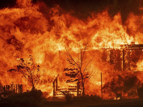 Depuis le 27 juillet, le "Mendocino complex" a déjà dévoré quelque 120'000 hectares. Il a détruit au moins 143 structures dont 75 résidences et plus de 11'000 autres structures sont menacées. © KEYSTONE/FR34727 AP/NOAH BERGER