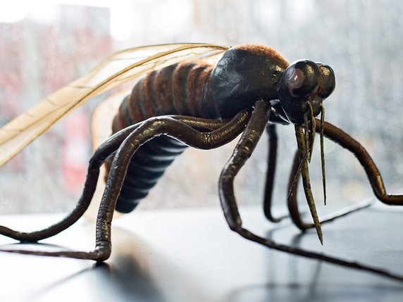 Maquette du moustique qui transmet la maladie © KEYSTONE/EPA DPA/CHRISTIAN CHARISIUS