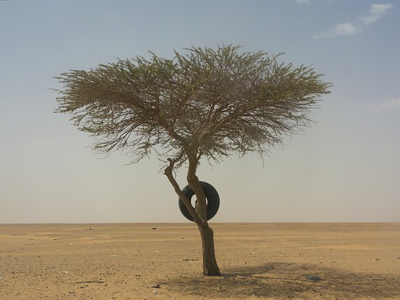 Au Niger, les mauvaises récoltes sont habituellement dues à la sécheresse et non aux inondations (archives). © KEYSTONE/AP/JEROME DELAY