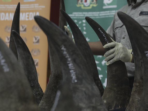 Toutes les espèces de rhinocéros sont menacées d'extinction, selon l'Union internationale pour la conservation de la nature (IUCN). © KEYSTONE/EPA/FAZRY ISMAIL