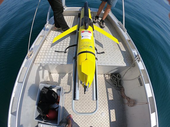 Sans éléments de propulsion, le robot n’interfère pas sur la prise de mesures. Autonome, il peut glisser dans les eaux du lac Léman jusqu’à une profondeur de 250 mètres et faire le yoyo sur une distance de plusieurs kilomètres. © EPFL/Sandy Evangelista