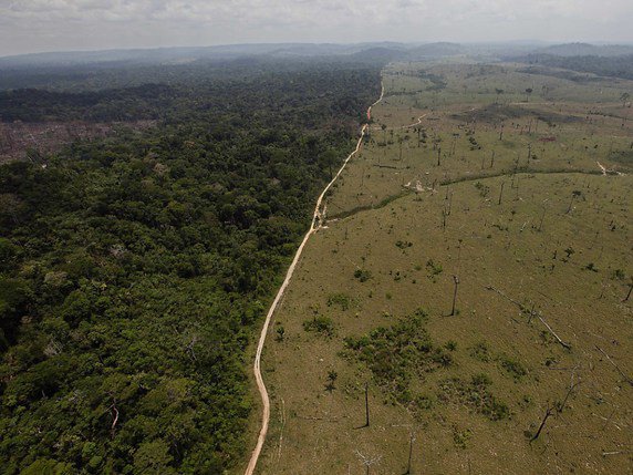 Le candidat de l'extrême droite à la présidentielle brésilienne Jair Bolsonaro pourrait, s'il est élu dimanche, finalement maintenir son pays dans l'Accord de Paris sur le climat, si Brasilia garde sa souveraineté sur l'Amazonie (archives). © KEYSTONE/AP/ANDRE PENNER/AP