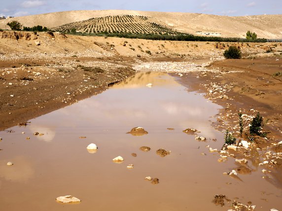 Treize personnes ont perdu la vie dans les intempéries qui ont frappé la Jordanie vendredi dernier (archives). © KEYSTONE/EPA/ANDRE PAIN