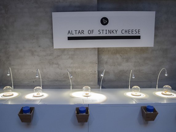 Avec cet "autel", un hommage est rendu aux "fromages puants". © KEYSTONE/AP TT News Agency/JOHAN NILSSON