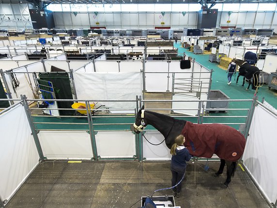 Les halles de Palexpo offrent une magnifique surface pour tout avoir sous le même toit - fait très rare en hippisme -, à côté de l'hôtel et de l'aéroport © Keystone/LAURENT GILLIERON