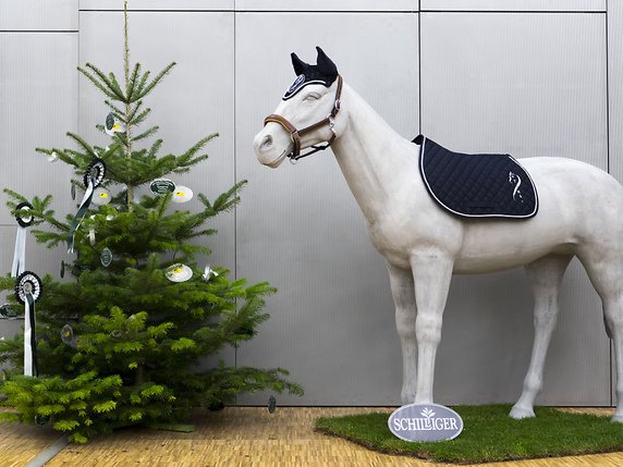 Noël et, bien sûr, le cheval: thématiques récurrentes du décor du CHI de Genève, y compris en salle de presse © Keystone/LAURENT GILLIERON