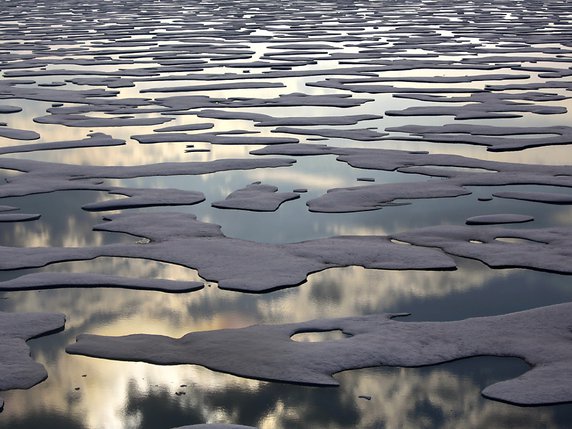 Le réchauffement aide les algues rouges toxiques à conquérir de nouveaux territoires en pénétrant les eaux de moins en moins froides de l'Arctique, où poissons et crustacés peuvent s'empoisonner. © KEYSTONE/AP/DAVID GOLDMAN