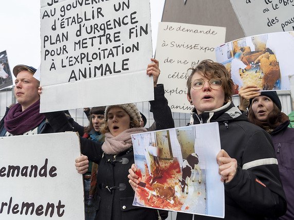 Des antispécistes de l'association Pour l'Egalite Animale (PEA) ont manifesté samedi devant l'entrée du salon Swiss Expo au Palais de Beaulieu à Lausanne. © KEYSTONE/MARTIAL TREZZINI