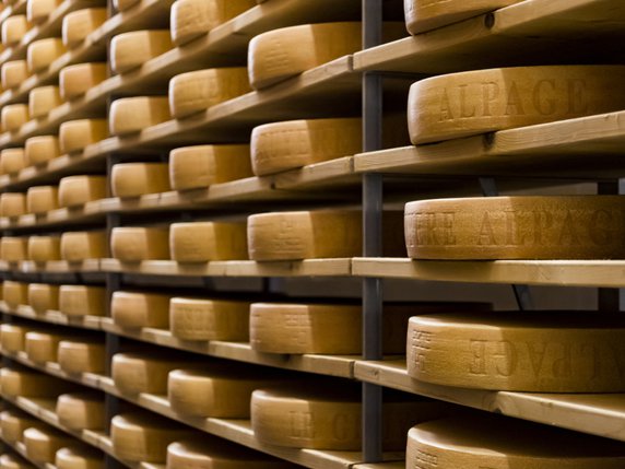 En 2018, la population suisse a consommé 21,73 kilos de fromage par personne. © KEYSTONE/JEAN-CHRISTOPHE BOTT