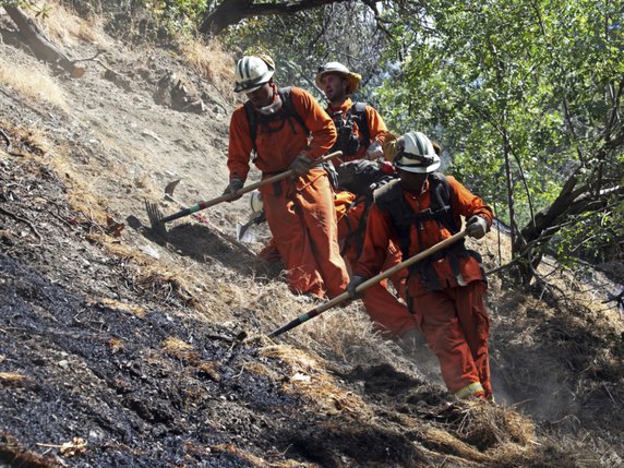 L'état d'urgence permet aux pompiers d'entamer divers projets de sécurisation des forêts (archives). © KEYSTONE/AP/REED SAXON