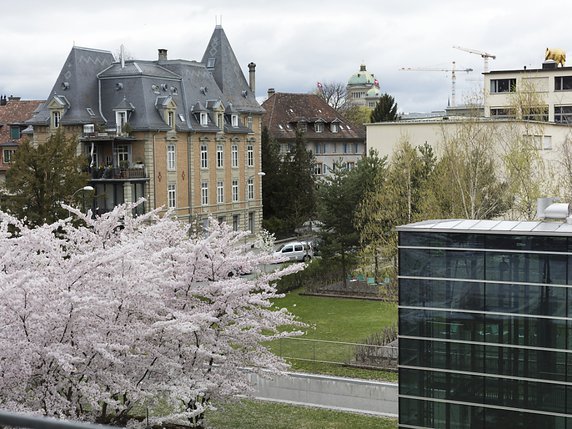 Pour l'EPFL, la place de la nature en ville est un enjeu crucial. © KEYSTONE/GAETAN BALLY