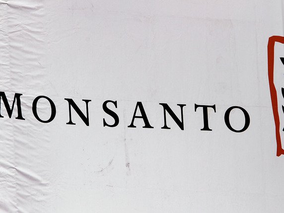 Monsanto aurait secrètement fiché des personnalités en fonction de leur position sur le glyphosate, révèle une enquête de France 2. (archives) © KEYSTONE/AP/SETH PERLMAN