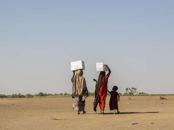 Près de deux millions de Somaliens ont un besoin désespéré de nourriture et des centaines de milliers d'enfants souffrent déjà de malnutrition à cause de la sécheresse qui frappe le pays (archives). © KEYSTONE/AP/MULUGETA AYENE